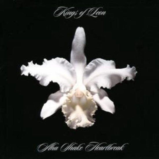 Kings Of Leon  A-Ha Shake Heartbreak